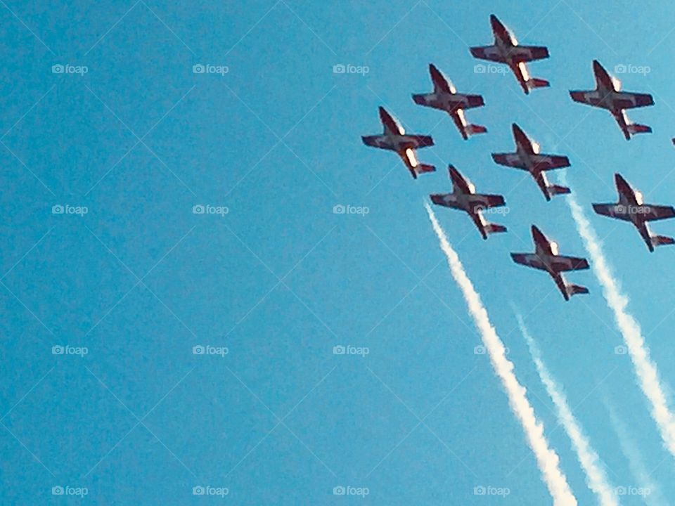 The Snowbirds