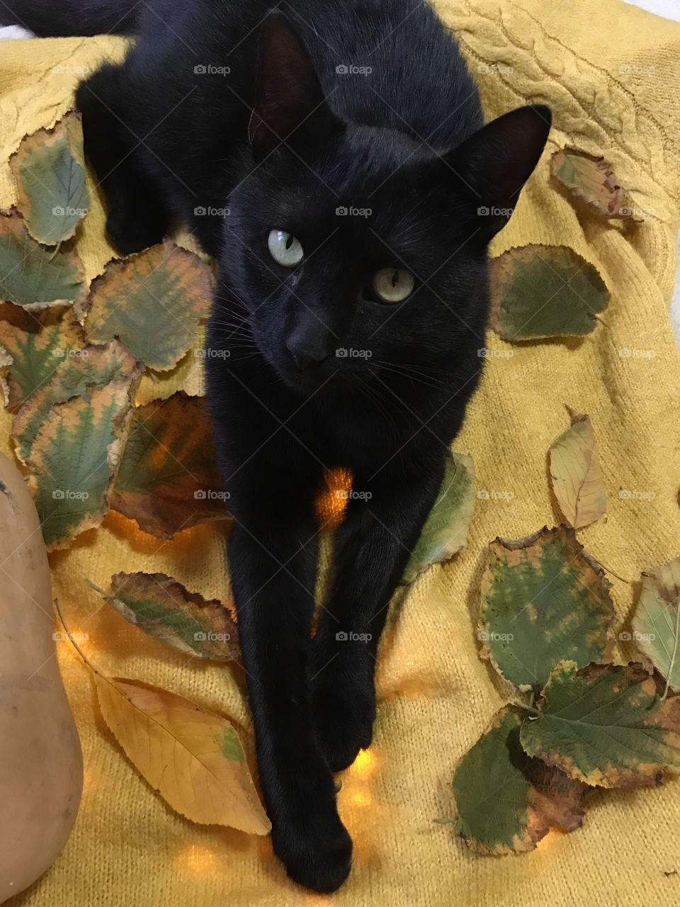 Is this a good pose for a photo?