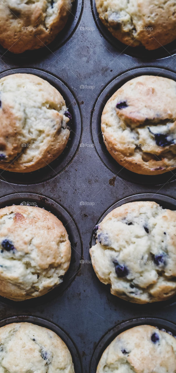 Hot and fresh, home baked blueberry muffins.