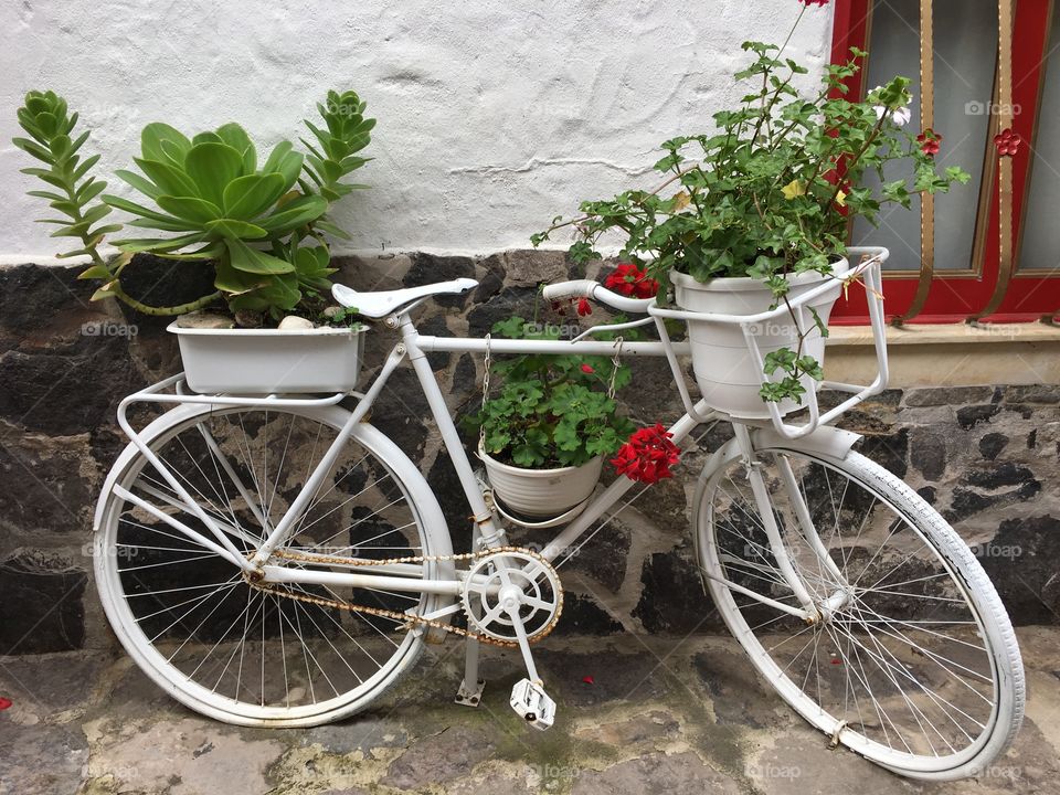 Boyacà, Colombia. A bike supporting a garden.