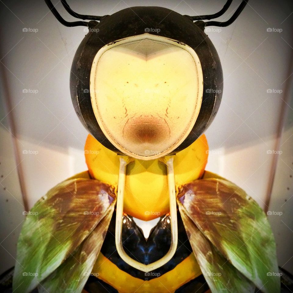 The Faceless Bumble Bee