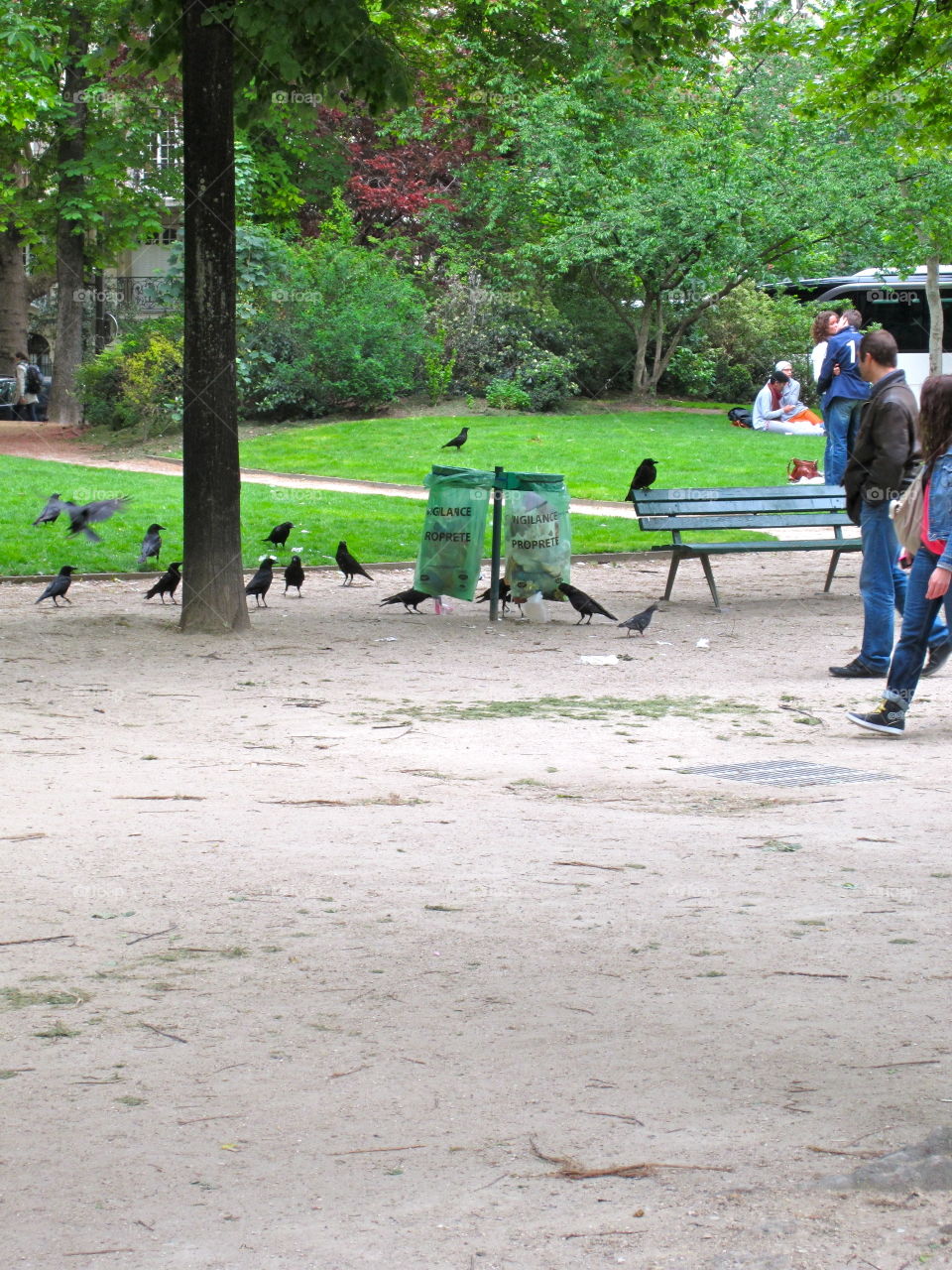 Landscape, Bench, People, Park, Road