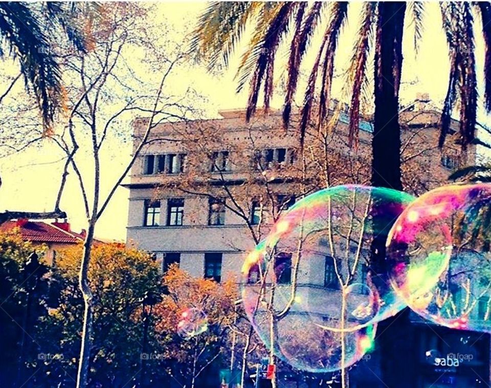 Bubbles