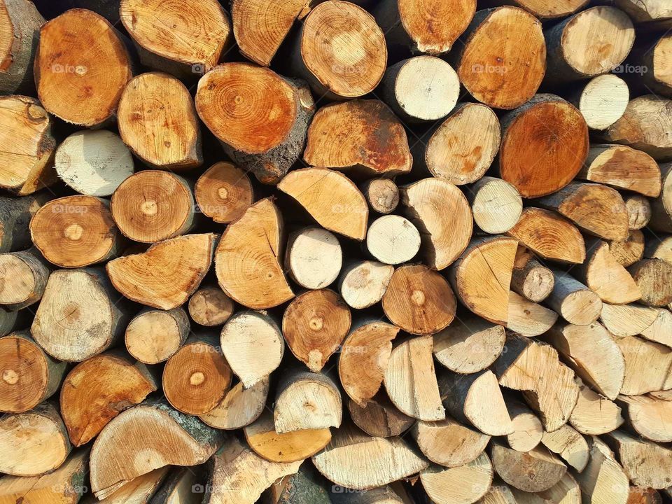 firewood