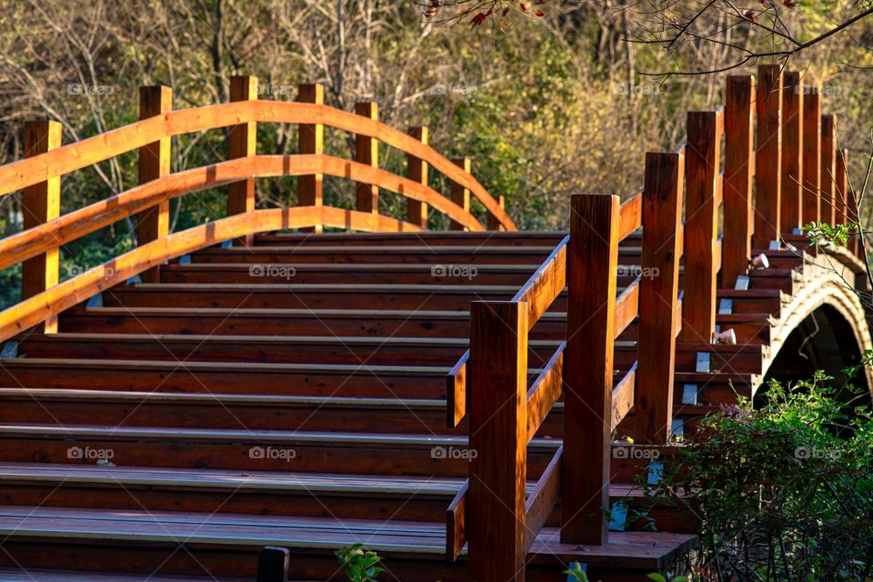 wooden bridge