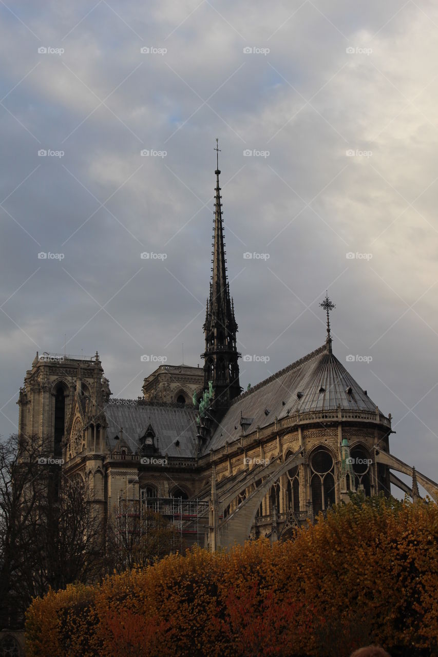 Notre dame