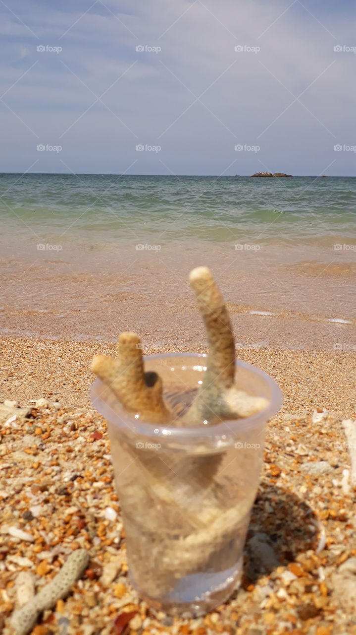 This is Pasikuda Beach
Located in the Kalkuda constituency in the Eastern Province of Sri Lanka
Many tourists visit this place