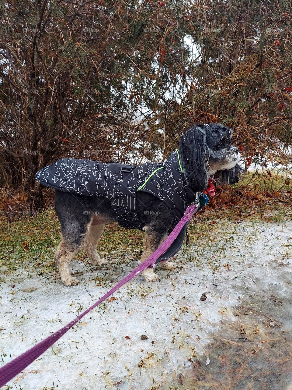 Dressed for the Weather