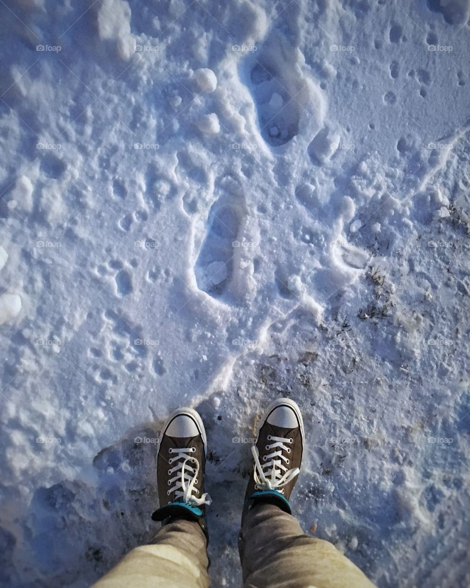 Shoes in the snow
