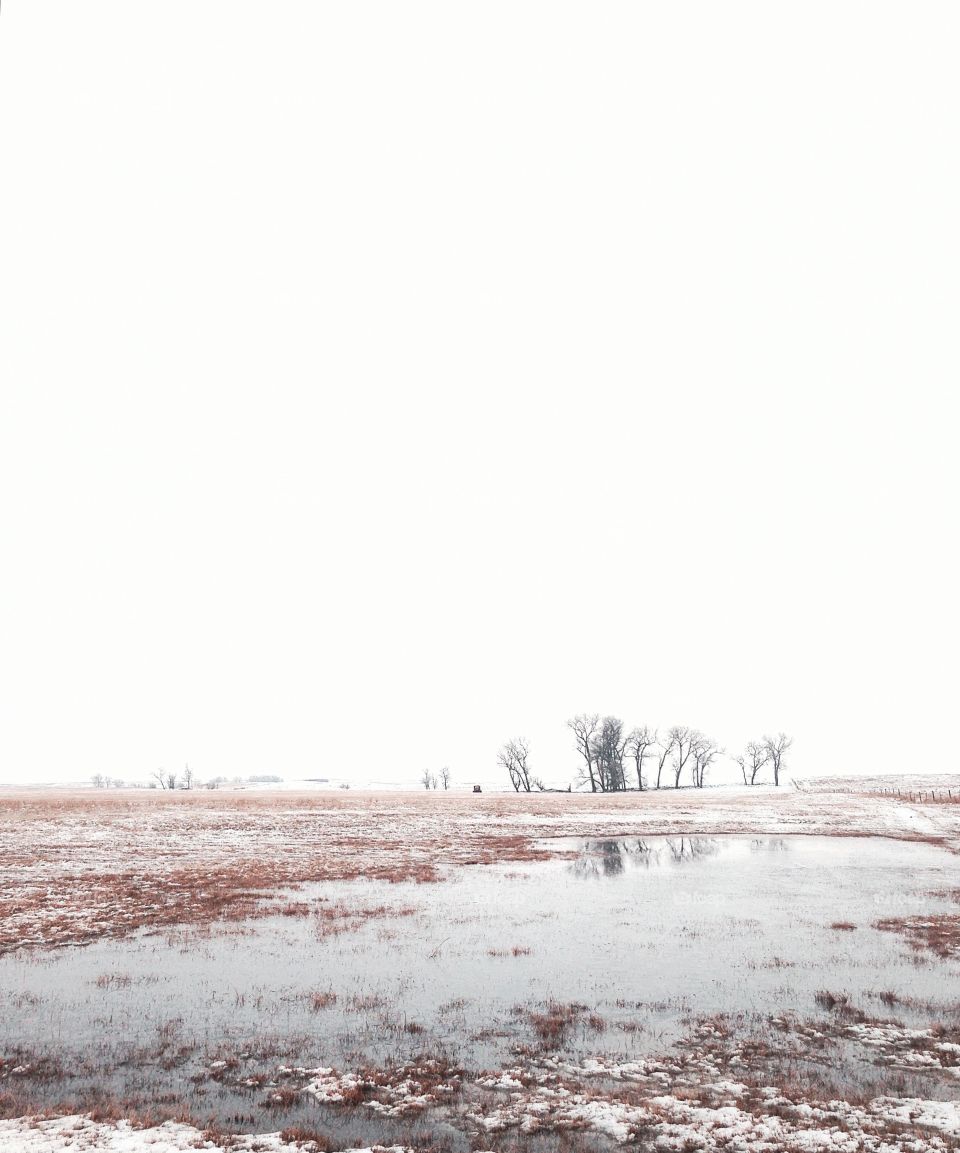 prairie in winter 