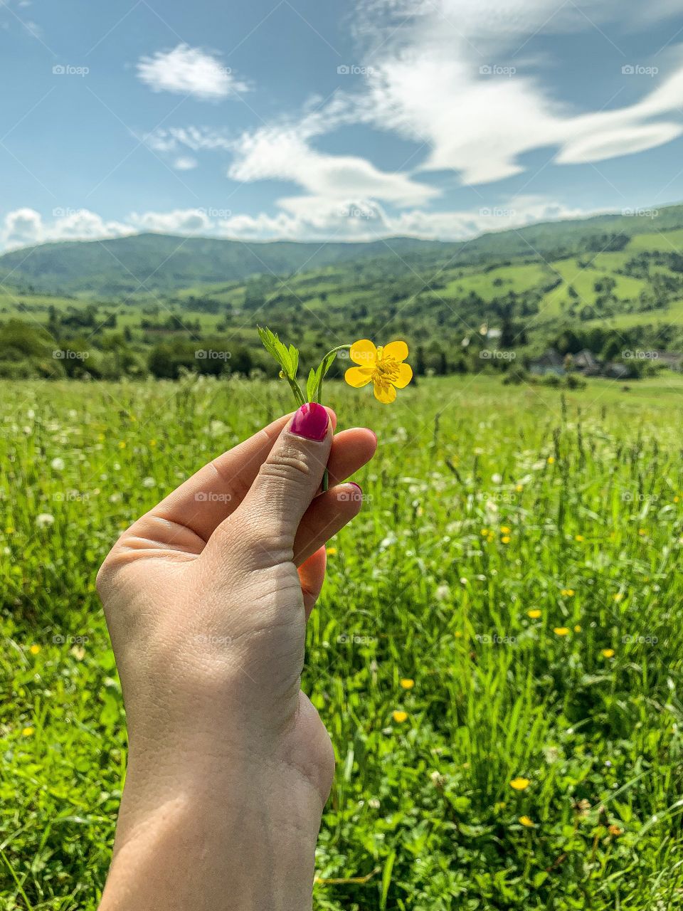 Small flower in my hand!