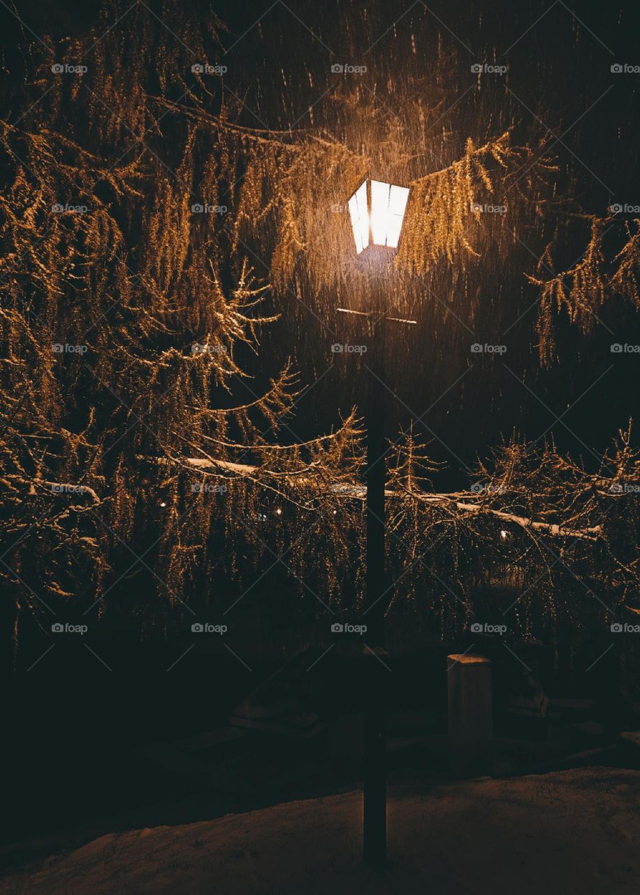 A little light in the darkness