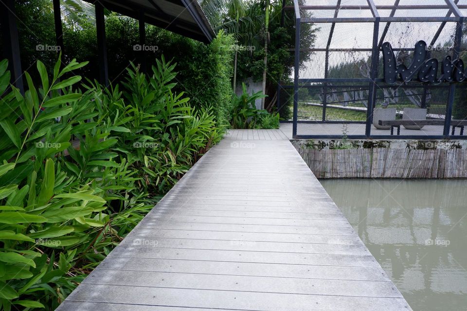Waterfront walkway into the park On the side there are ornamental trees.