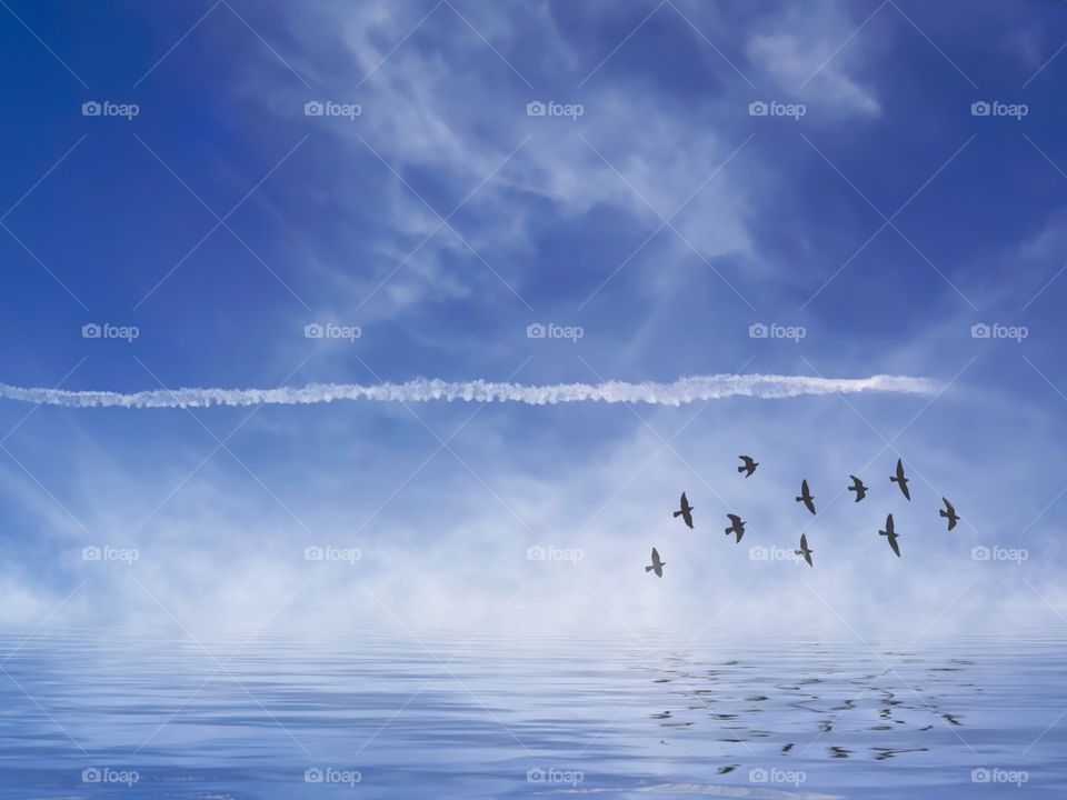 A flock of birds following a contrail reflected in a beautiful lake.