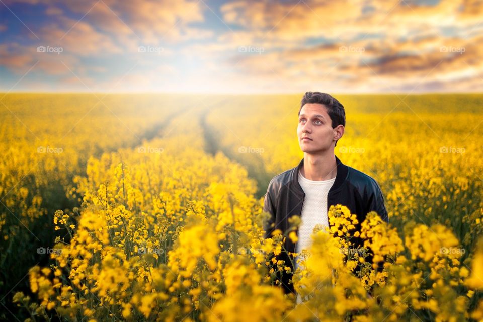 Selfportrait in Rapefield