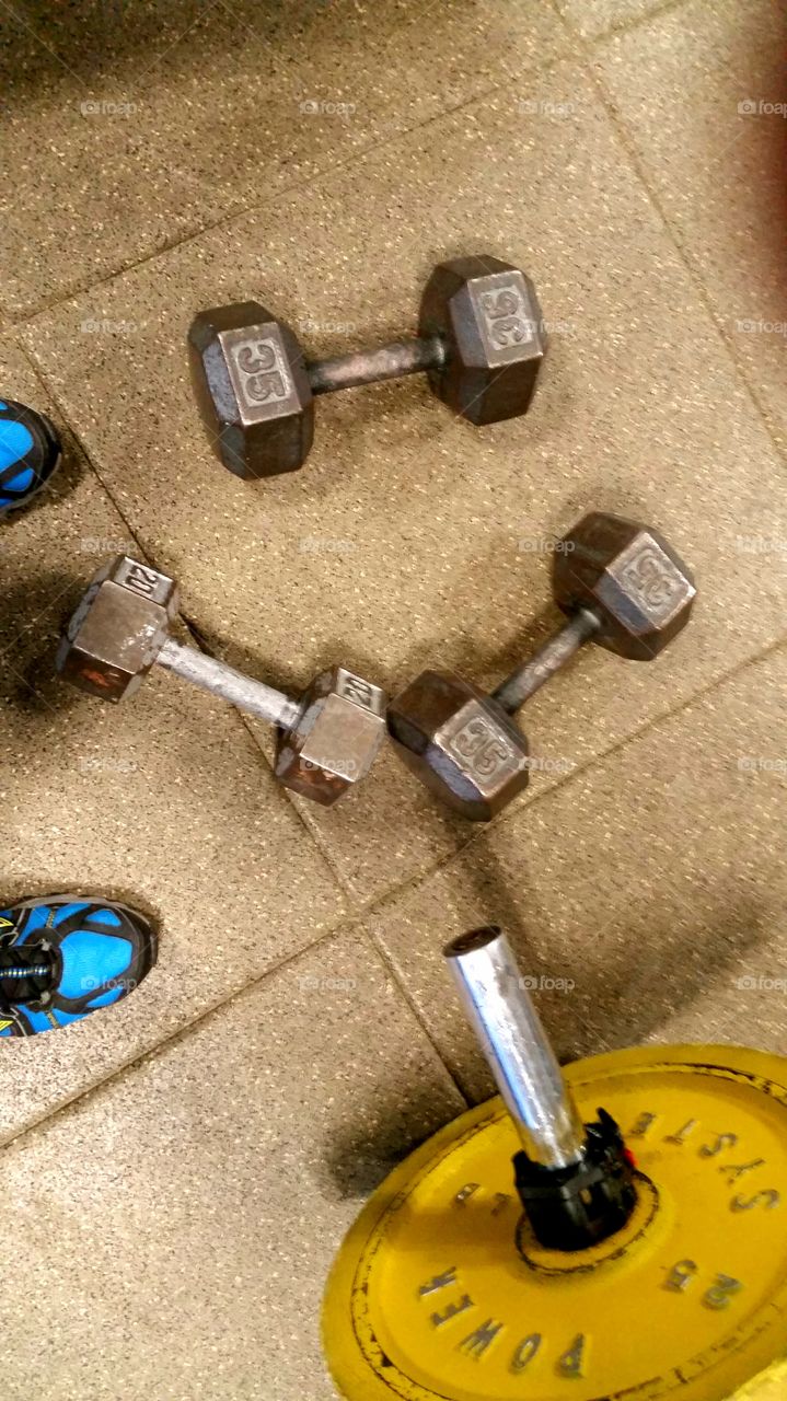 Dumbbells in the gym