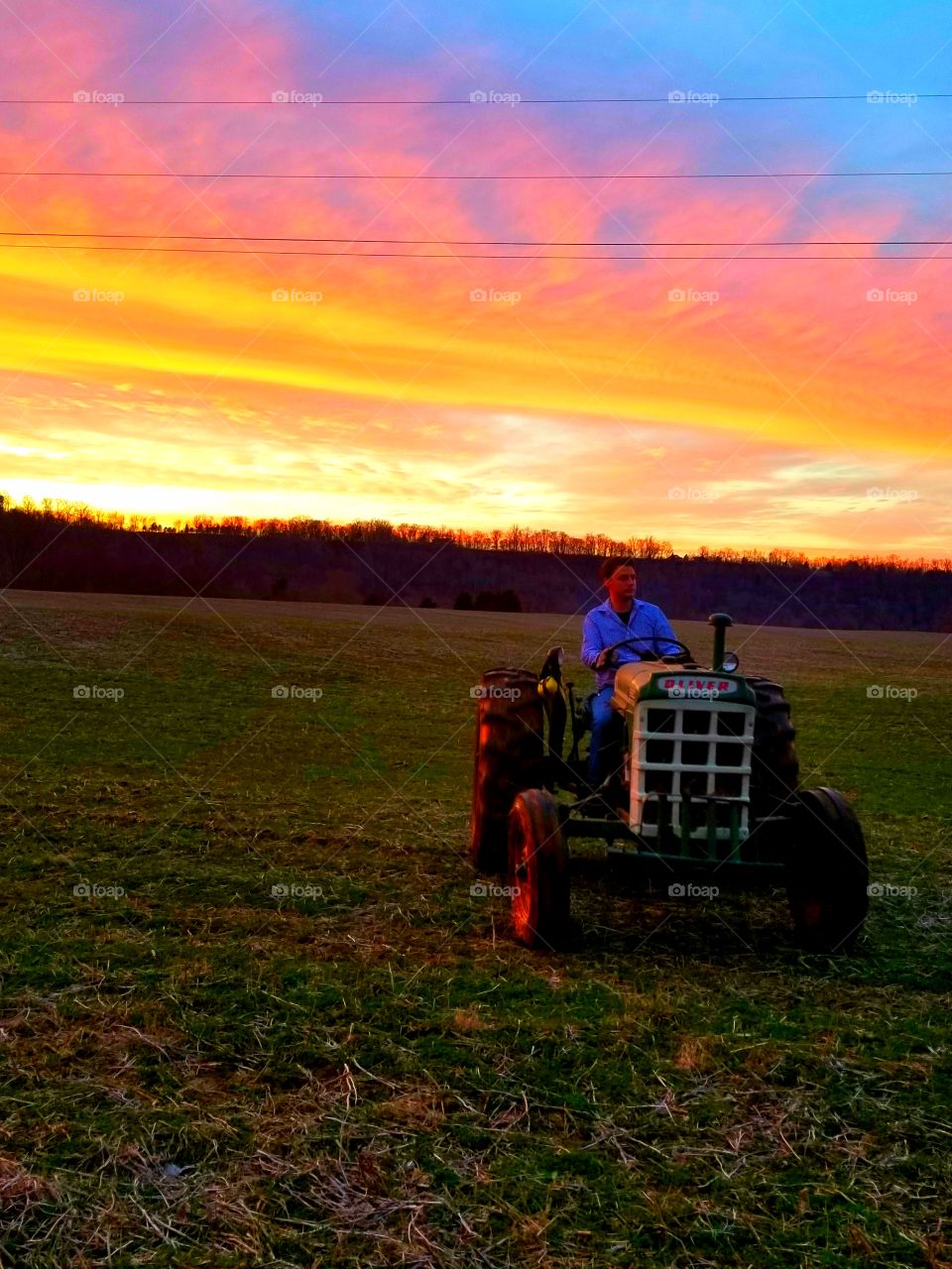Vehicle, Agriculture, Tractor, Farm, Cropland