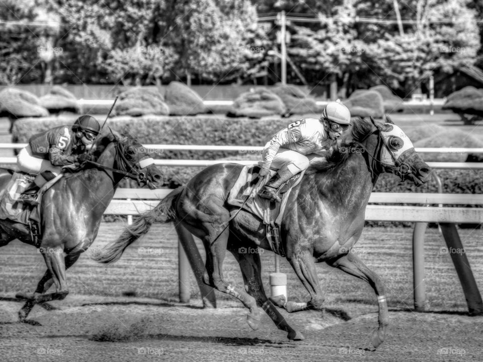 Shrewd One. Racing from Saratoga with Shrewd One and derby winning jockey Edgar Prado. 
Fleetphoto