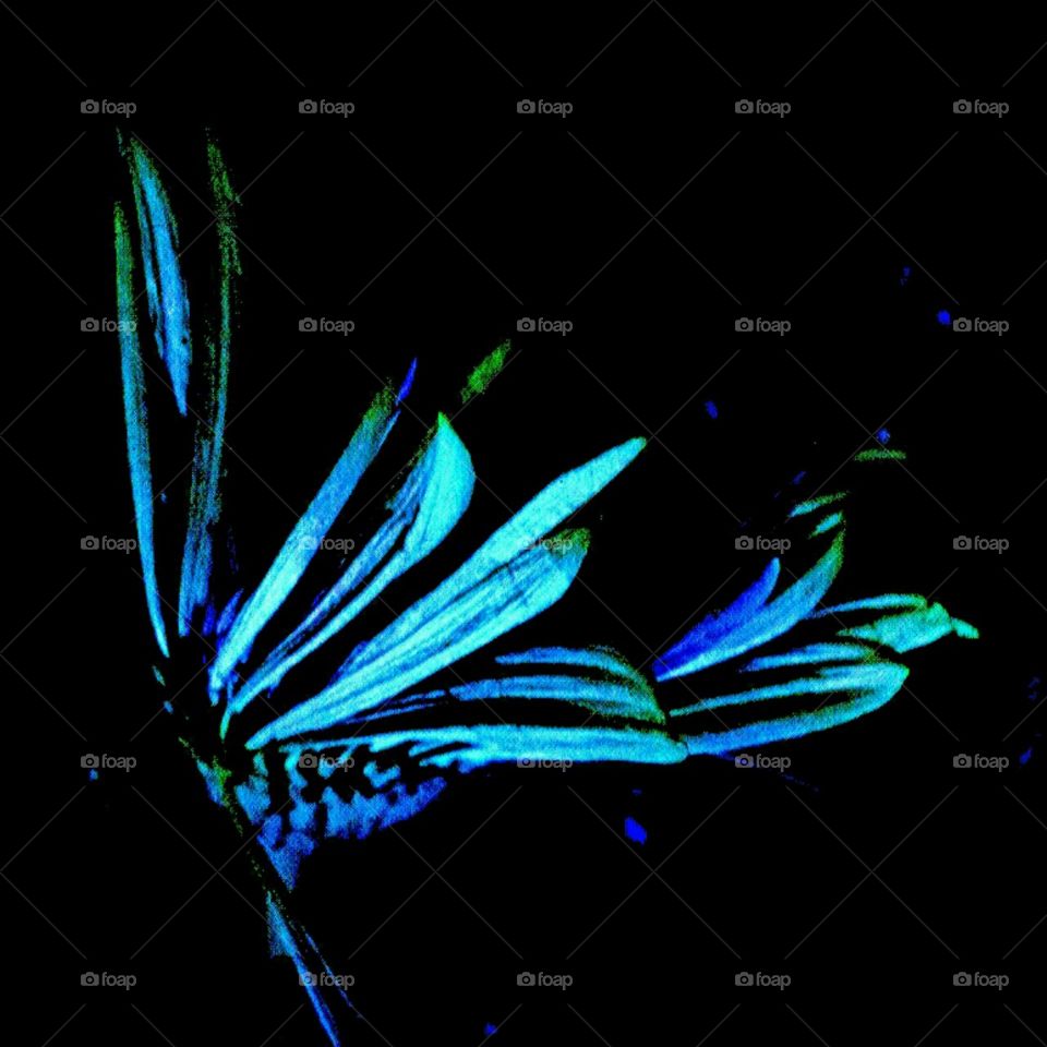 allaflutter. lighting effects