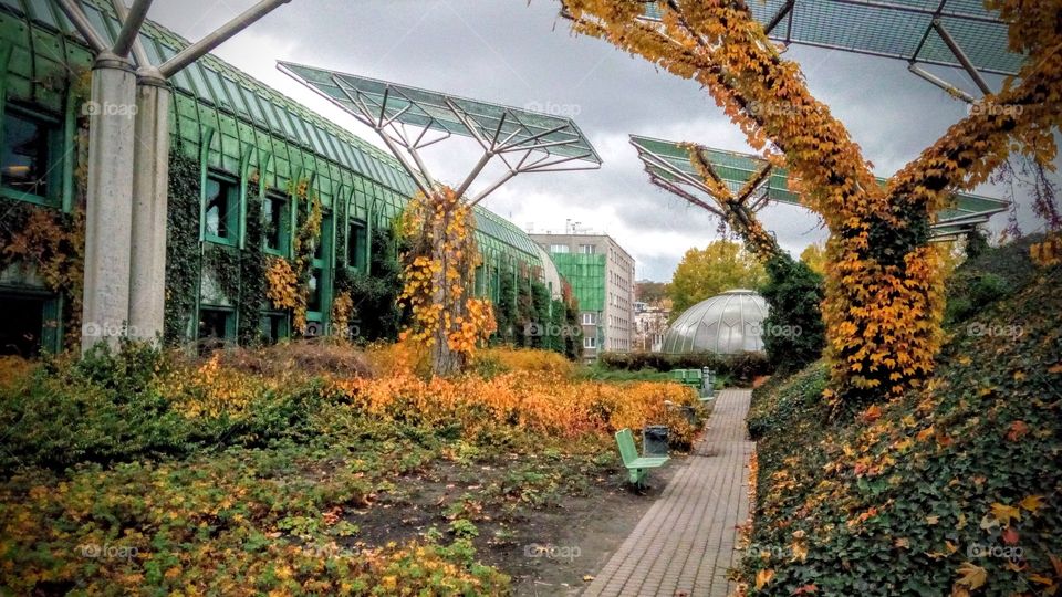 Vivid fall in Warsaw. Warsaw university library 