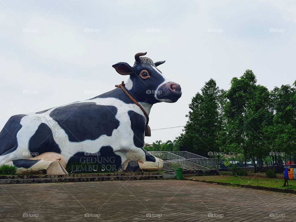 This photo taken in Statue Cow, Boyolali, Indonesia.