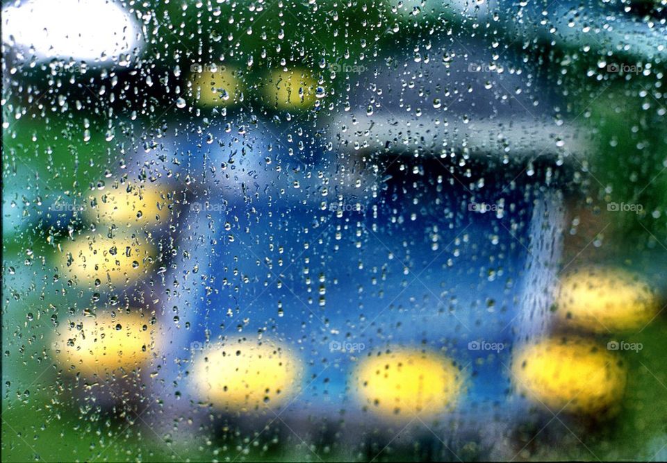 Watching the swimming pool under the rain