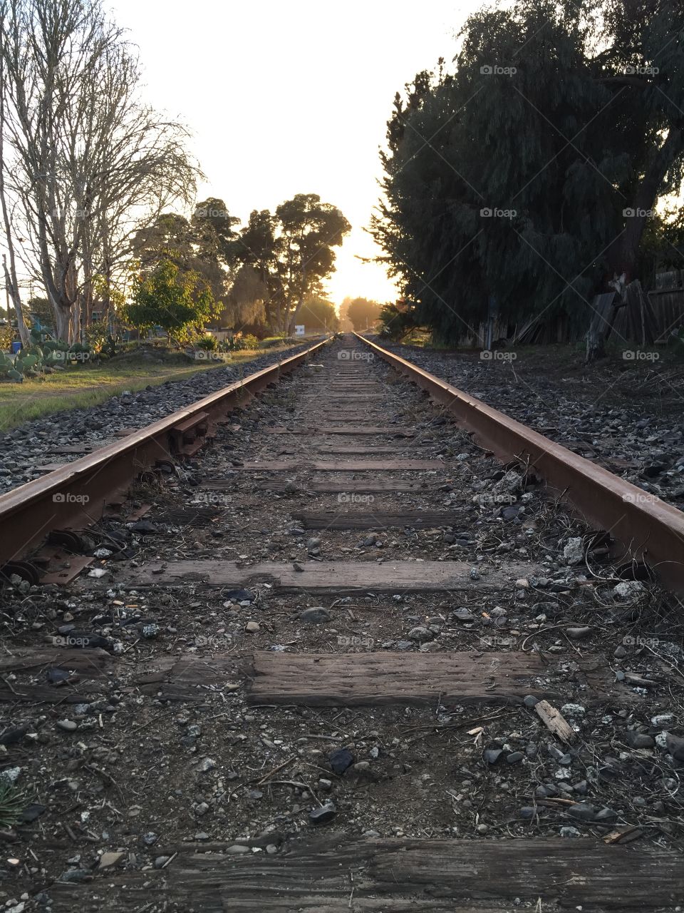 No filter, train tracks at sunset