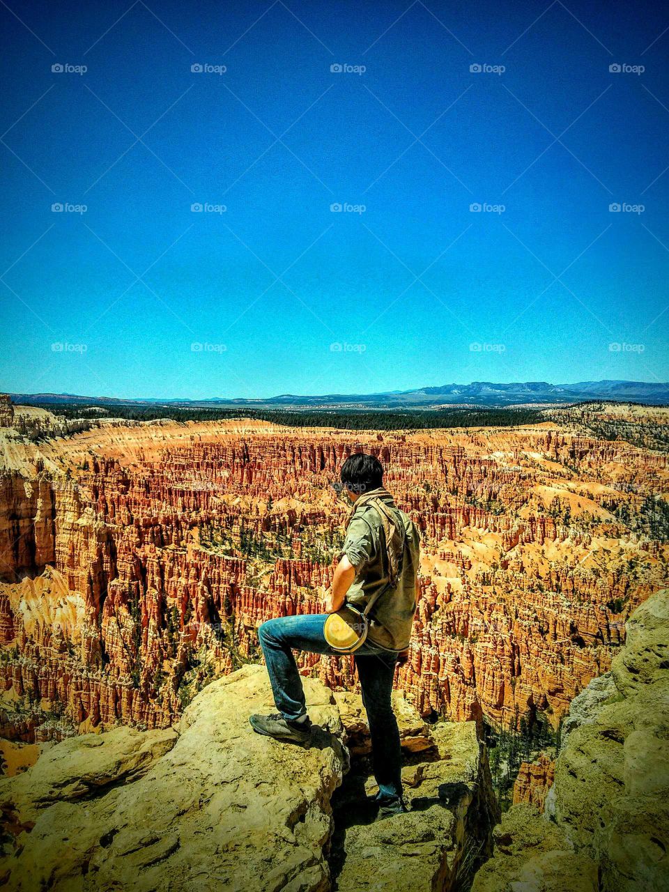overlooking the hoodoos. a view of Bryce canyon national park