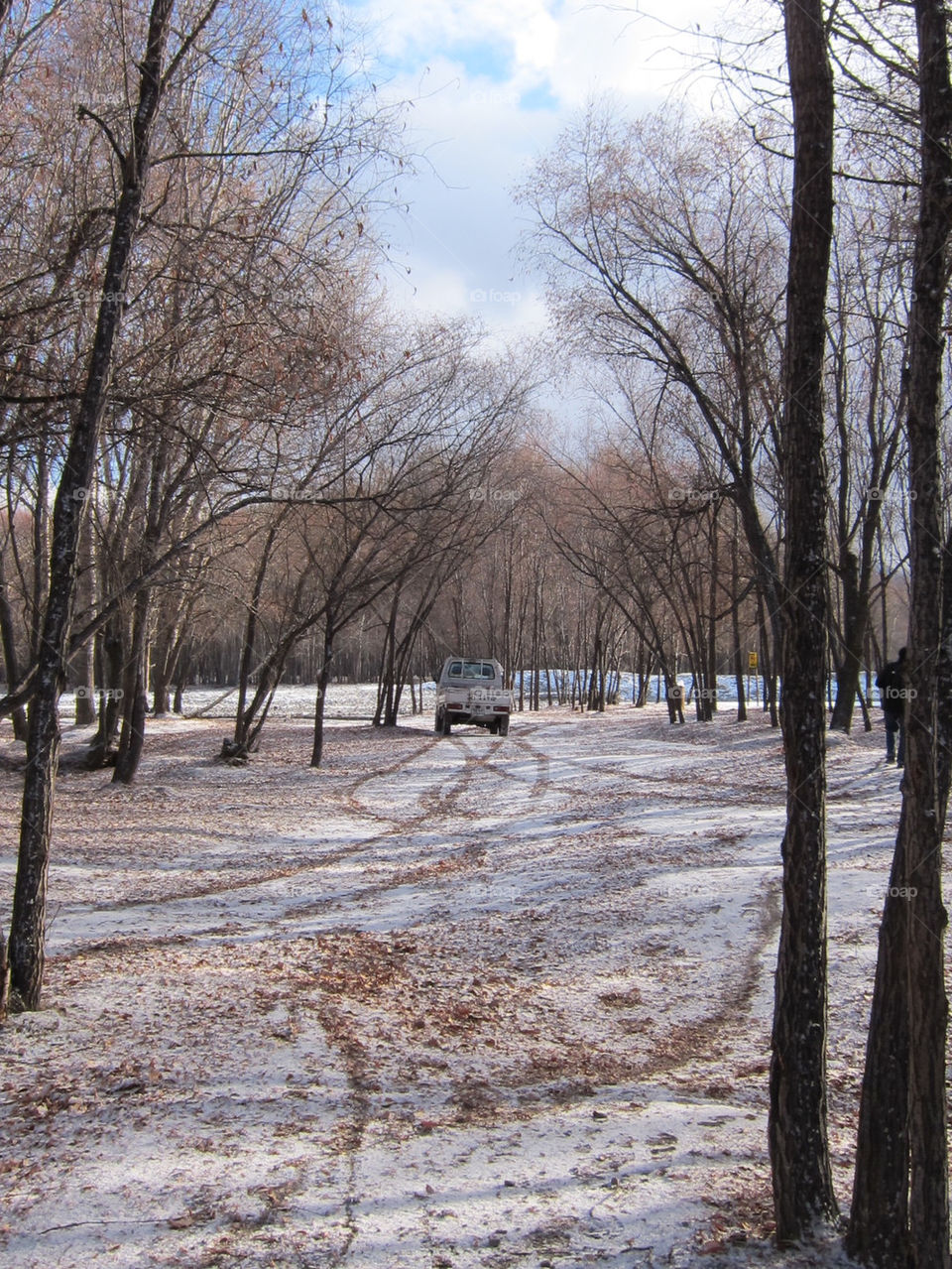snow winter landscape trees by thepapierdollies