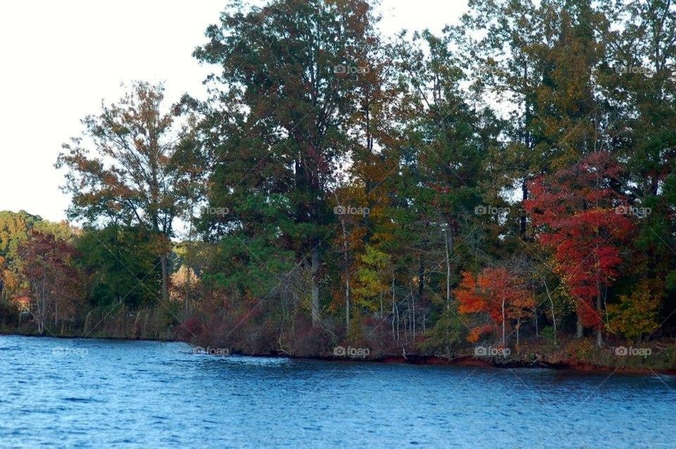 Fall Colors at the lake