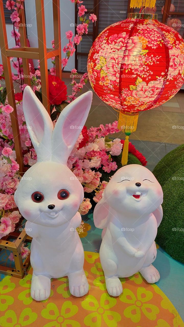 Year of rabbit