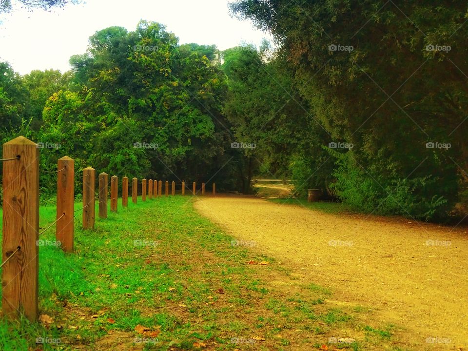 The tranquility of the road