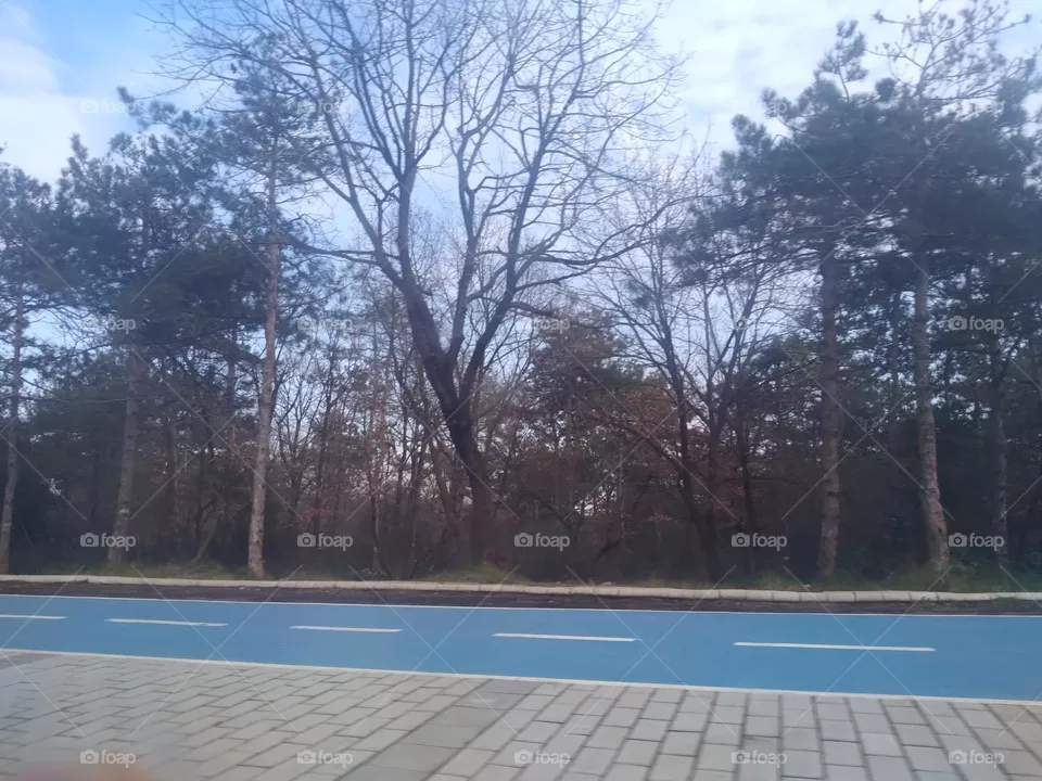 walking area