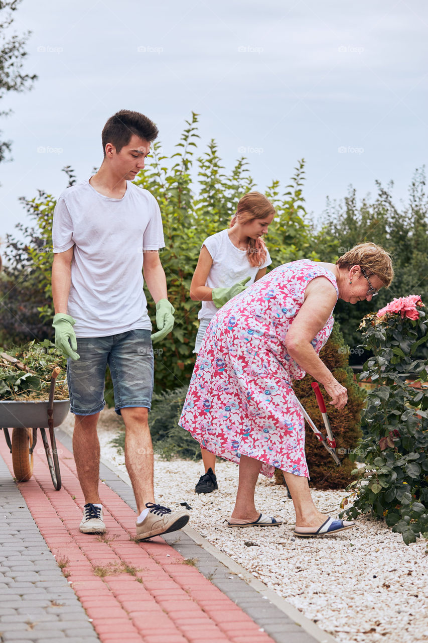 Grandchildren helping grandmother at a home garden. Candid people, real moments, authentic situations