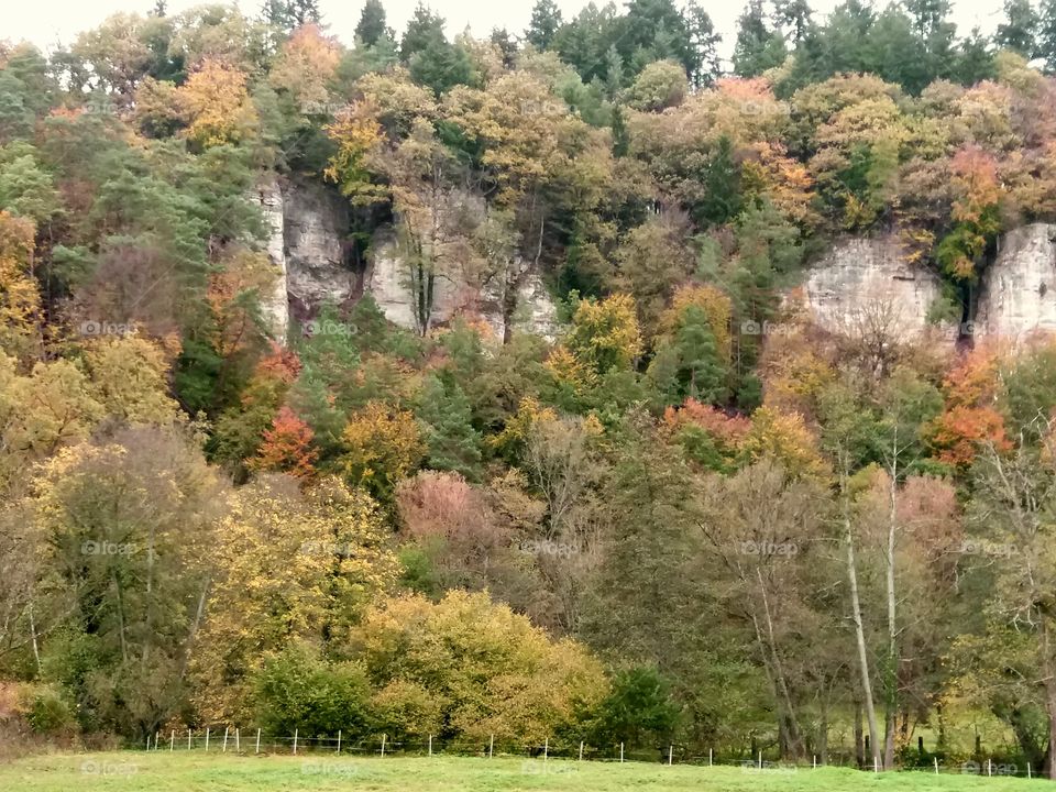 fall landscape