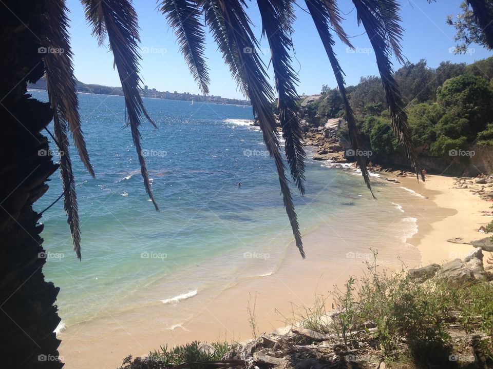 Nur wenige Minuten von der Sydney Oper entfernt liegt dieser paradiesische Strandabschnitt. Hier beginnt ein wundervolle, idyllischer Wanderweg