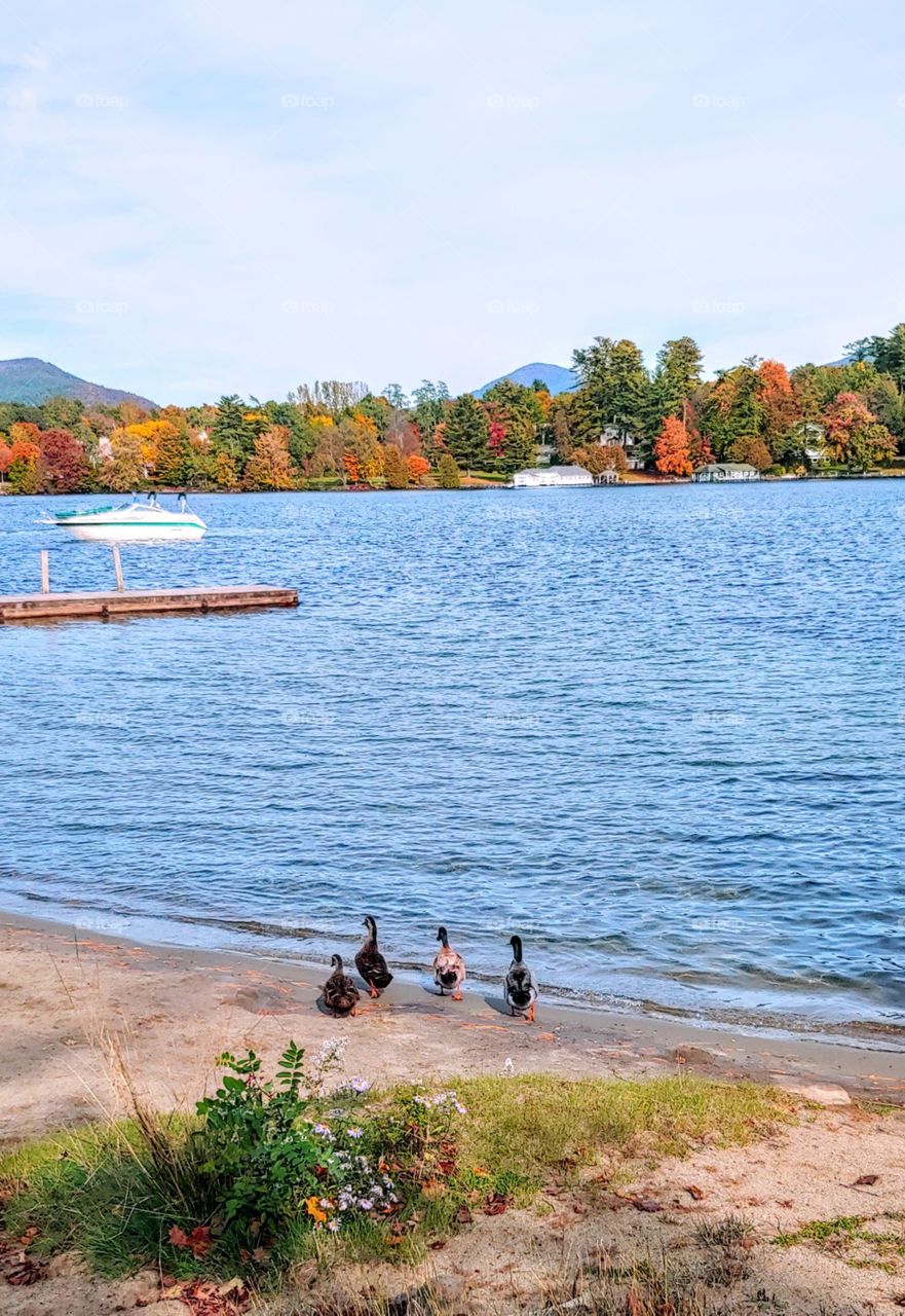 Beautiful Fall Foliage!