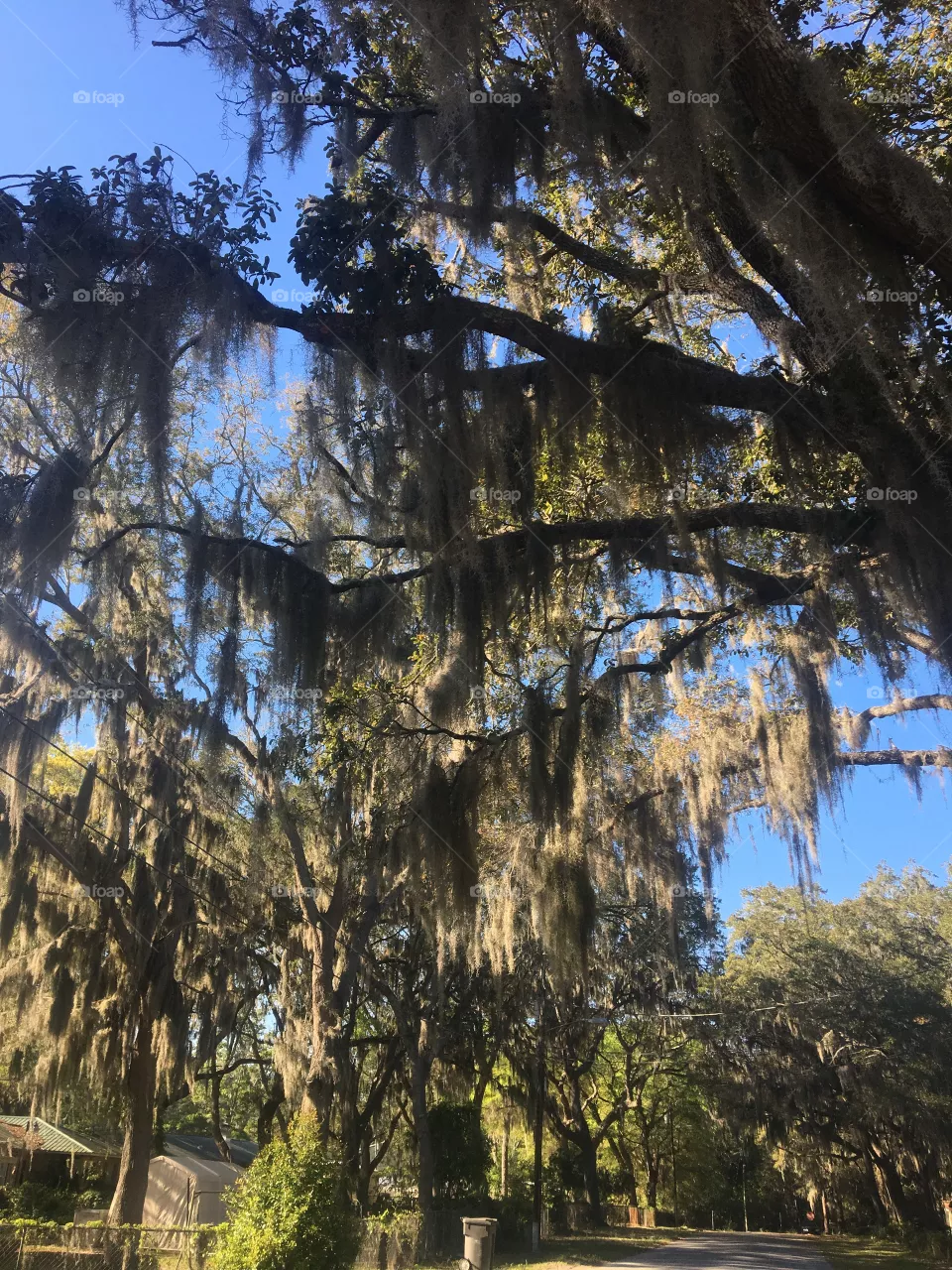 Nature