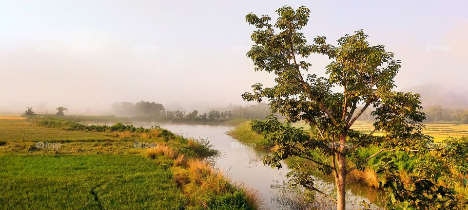Day is uncovered  with mild warm rays of dawn