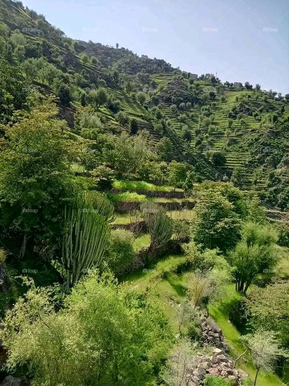 Glory be to God, the magnificent and picturesque view and the natural green trees are a view that is nothing more wonderful than it