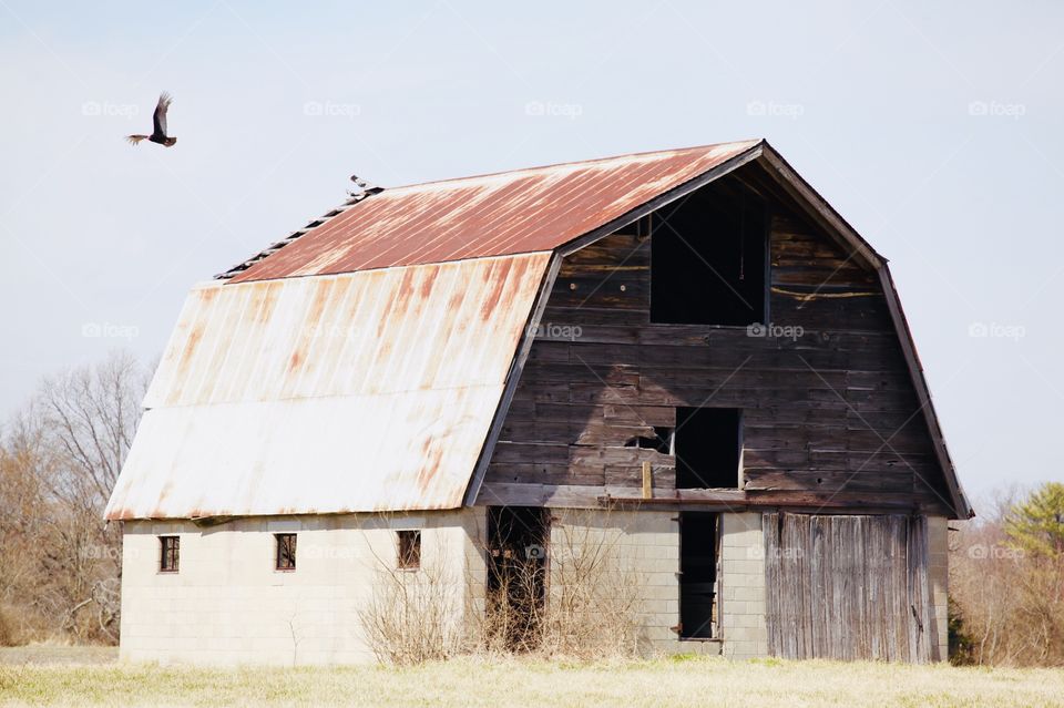 Old Barn with rusty Metal Roof