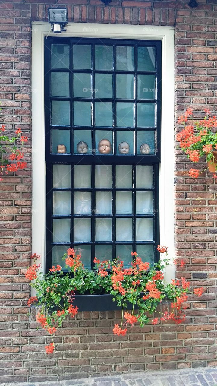 Window Dolls