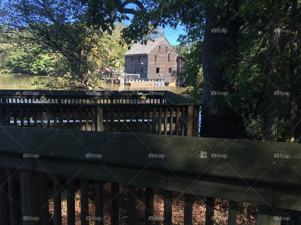 Hiking at Historic Yates Mill