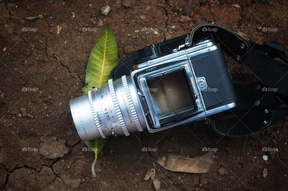 A classic vintage camera and a green leaf on the ground
