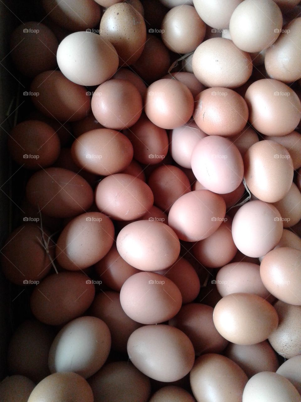Eggs _ Brown colour