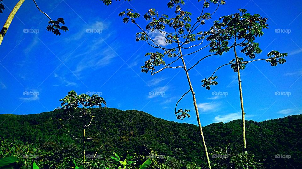CÉU AZULÃO EMBAUVA