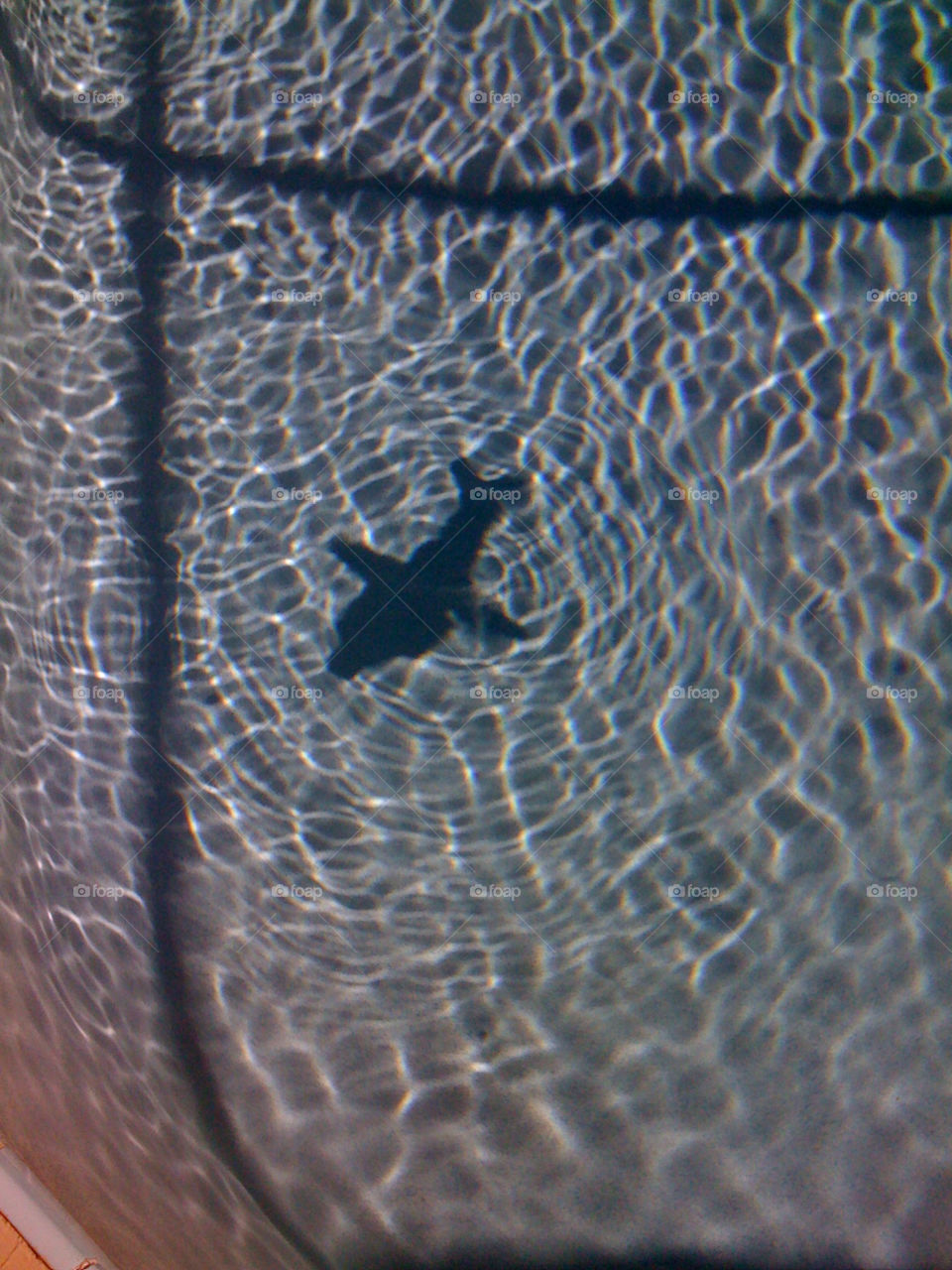 blue shadows pool shark by gootms