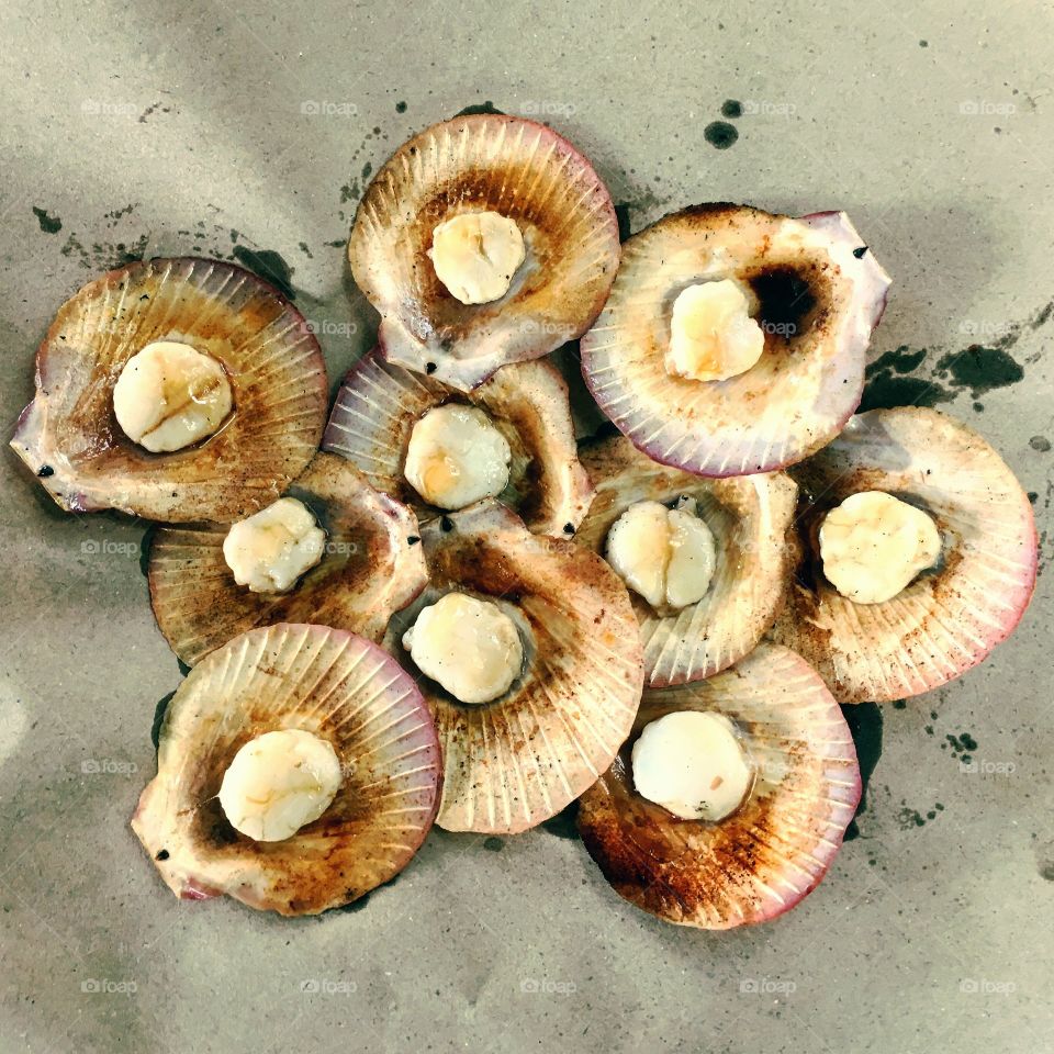 Scallops: Too beautiful to eat. Even its name is wonderful.