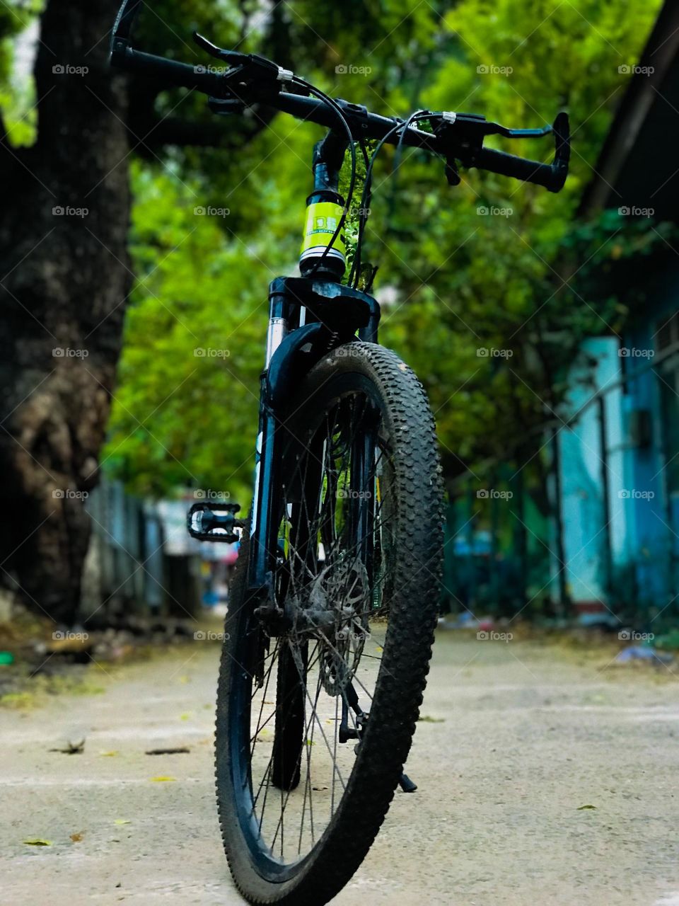 The bicycle is the noblest invention of mankind.”