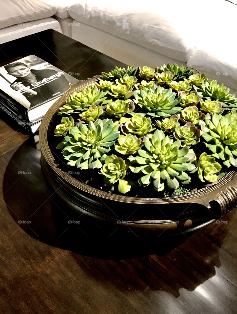 Lush green cactus flowers centerpiece 
